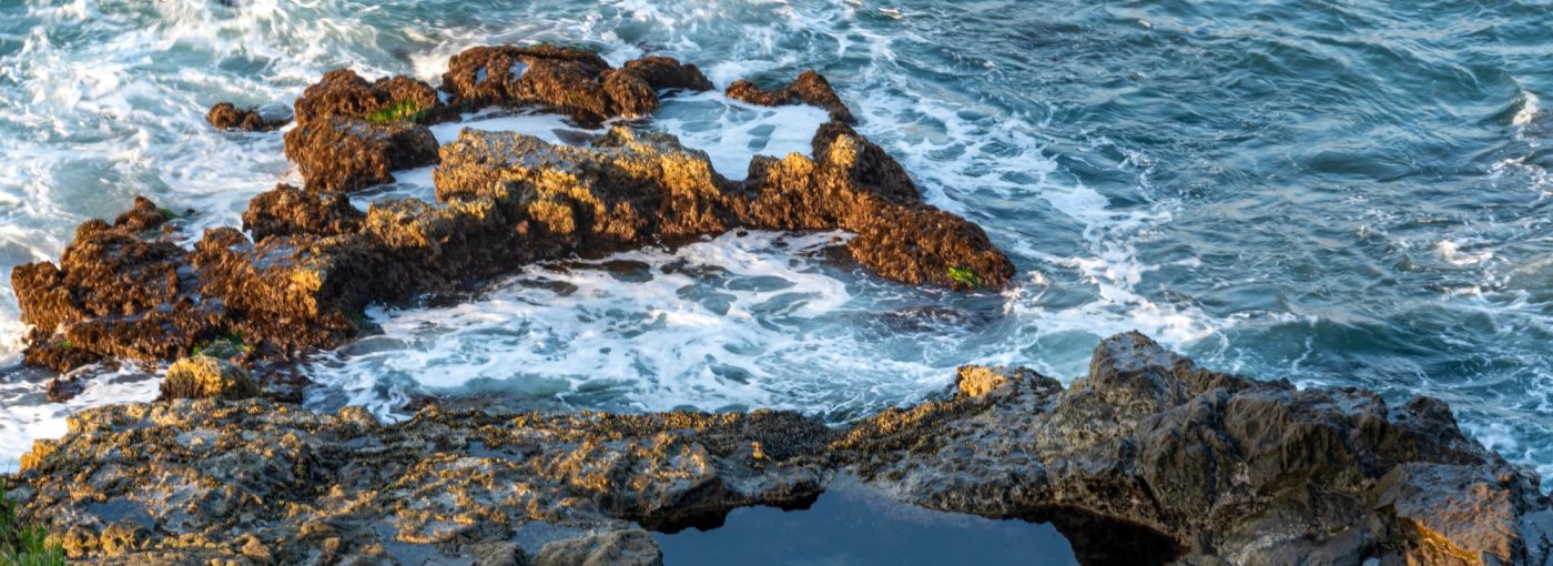 Laguna Beach Homes